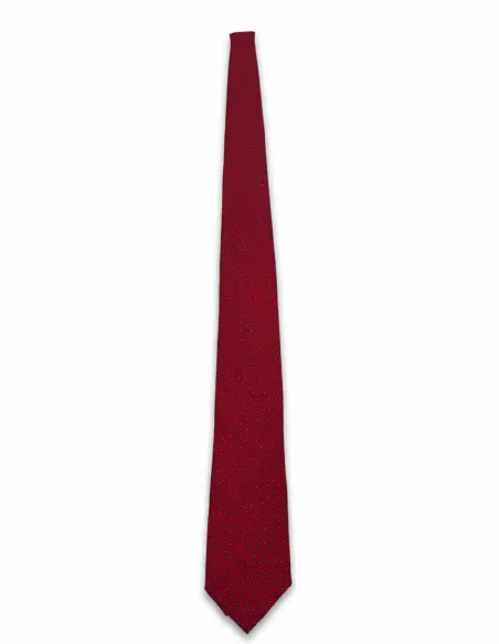 Tie de Seda Lilás-800
