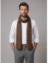 Brown and Blue Patterned Scarf
