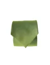 Gravata de Seda Verde